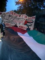 Palestine Banner